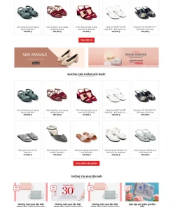 Theme wordpress shop giày nữ