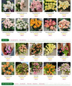 Theme wordpress shop hoa 5