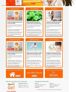 Theme wordpress bán hàng thực phẩm chức năng 20